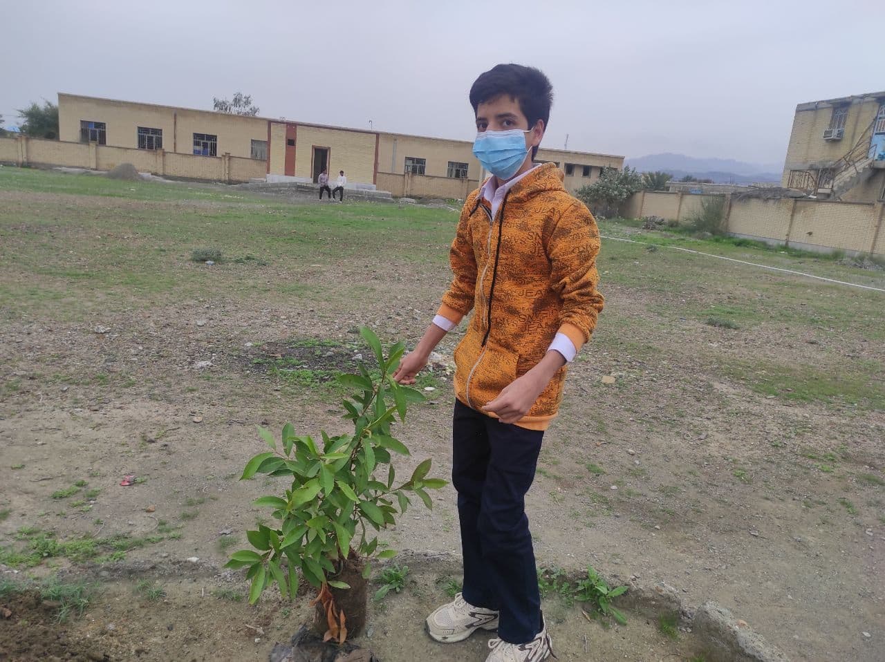 کاشت گل و گیاه جهت زیبا سازی محیط مدر سه